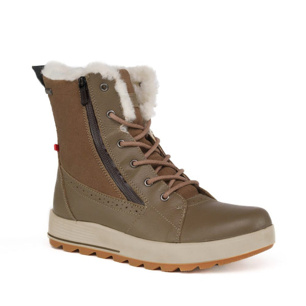 冬芽 P5228FOS_FOS_03_grande.jpg?v=