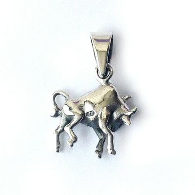 Taurus.925 Solid Sterling Silver Horoscope Pendant Zodiac