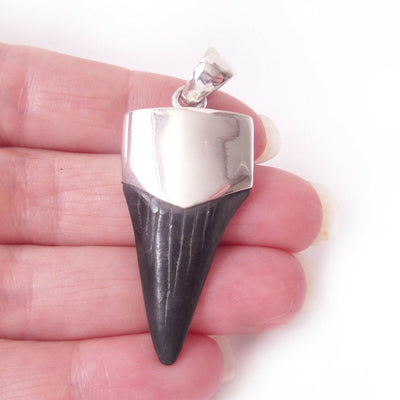 Megalodon Shark Tooth 925 Solid Sterling Silver Pendant Mens Jewelry Surfer Gift